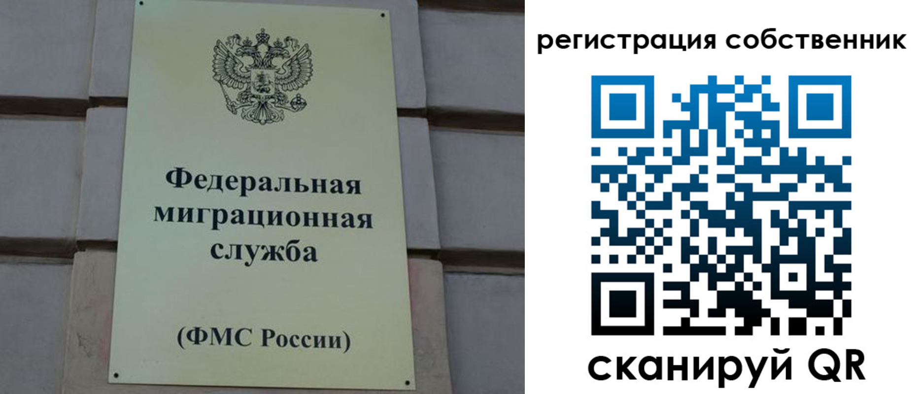 прописка гарантия в Дивногорске